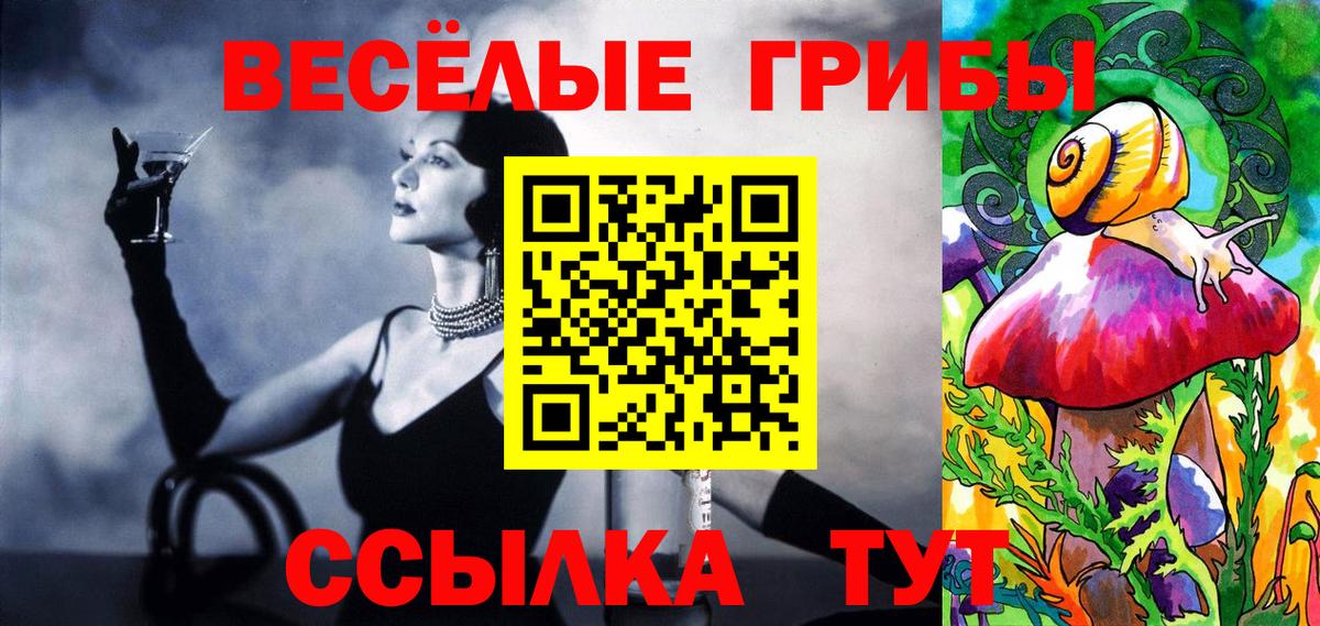 Псилоцибиновые грибы Cubensis  Вход с VPN  Новозыбков  Галлюциногенные грибы Magic Shrooms 