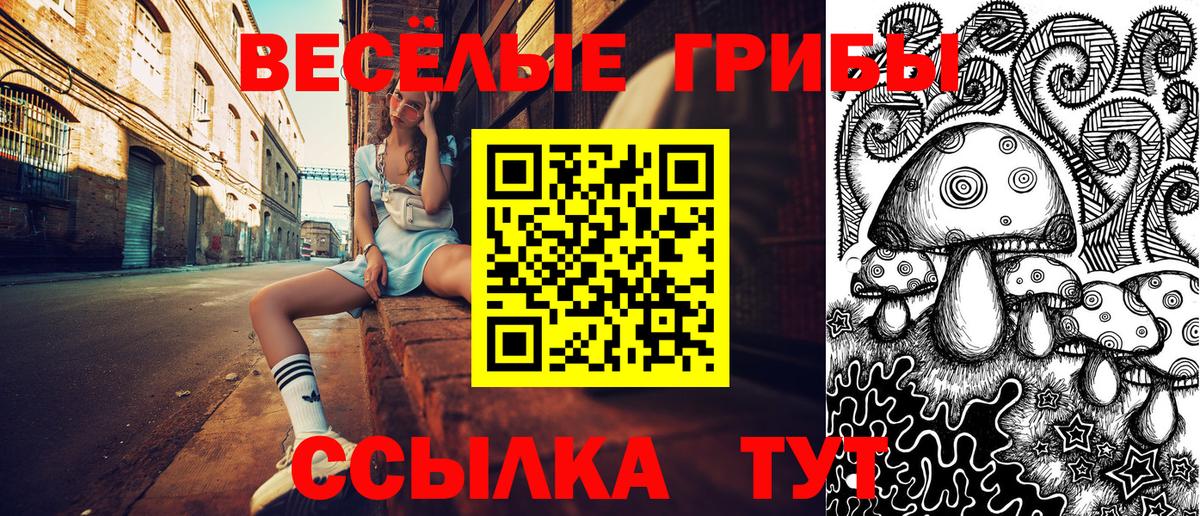 Галлюциногенные грибы мицелий Новозыбков