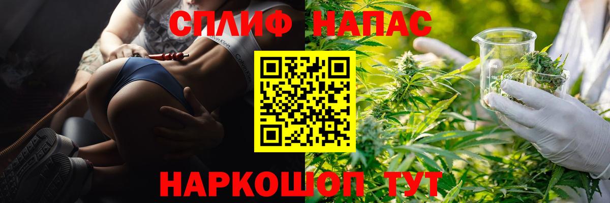 Конопля Amnesia Новозыбков
